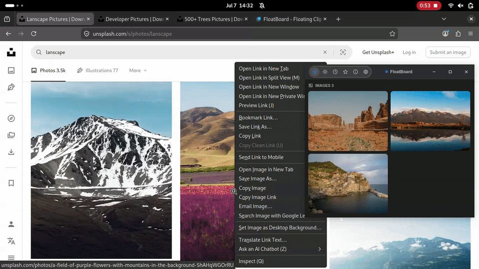 Recorded FloatBoard demo showing a small grid of landscape candidate images while browsing a photography website