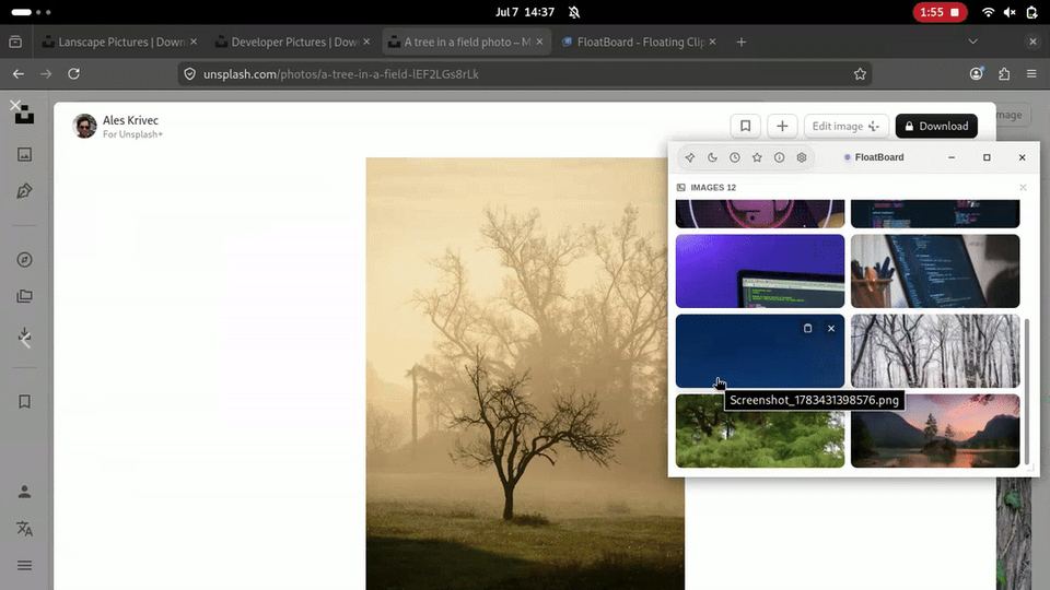 Recorded browser demo showing an opened tree photograph on its source page beside FloatBoard image tiles
