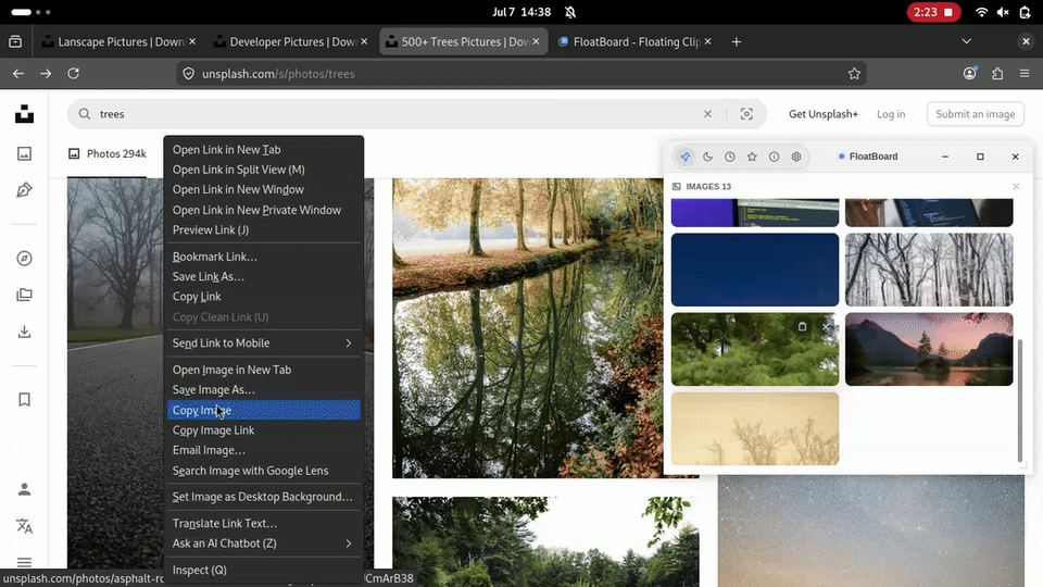 Archived Linux browser recording showing a tree photograph, an image context menu with Take Screenshot, and a floating board with image thumbnails
